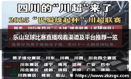 乐山足球比赛直播观看渠道及平台推荐一览
